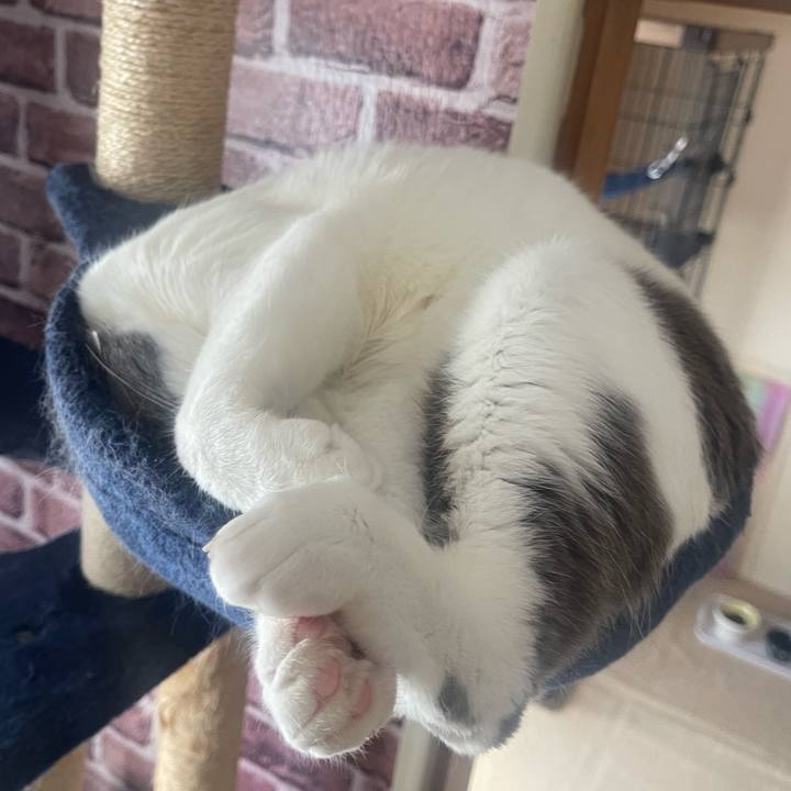 9c01df34 5a5a 4d1d 8ebc e7e6afc832f1 1685848242936