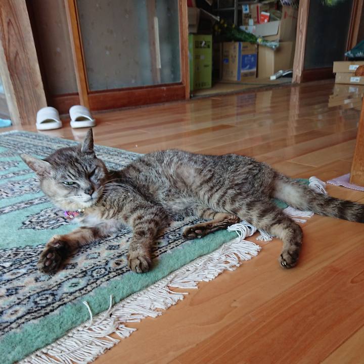 9c021ae1 9c85 4ed1 b751 d1bb49c8b002 1597281501636