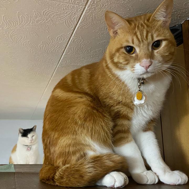 9c025710 5bf8 42be 9034 e6a50e66dc96 1644268794605