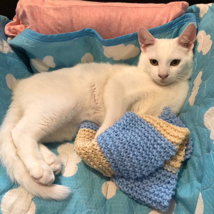 9c027c8d dff5 4f9c 92d4 31f7afe62019 1622081956435