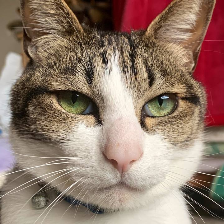 9c027e11 78d1 449f 9f85 5f3303588611 1583847313363