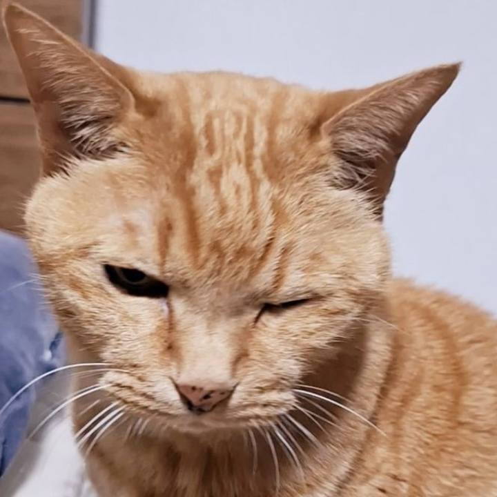 9c029f5f f28c 40da ac8f d4f76300b47b 1747350940874