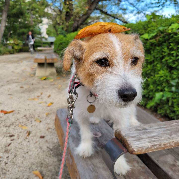 9c02af77 2116 4b40 b9fb 10fdd3fdb4f5 1696982662058