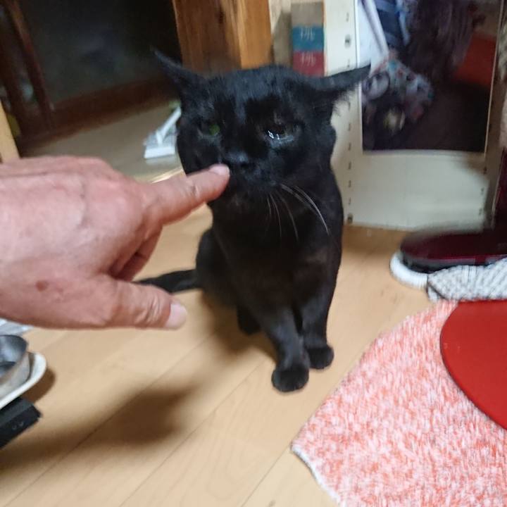 9c02b5ac a2b0 4a02 af22 7f3b88be2054 1627732531049