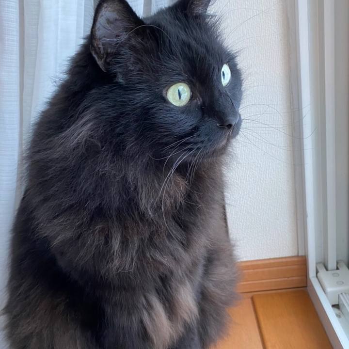 9c02e96c 4165 41dd 9579 204a1dc41dc2 1579520305992