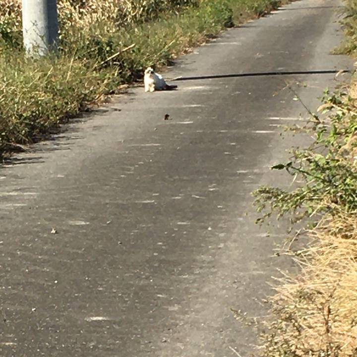 9c0343a6 7790 4af8 be3d bfbd7e092f08 1603246199537