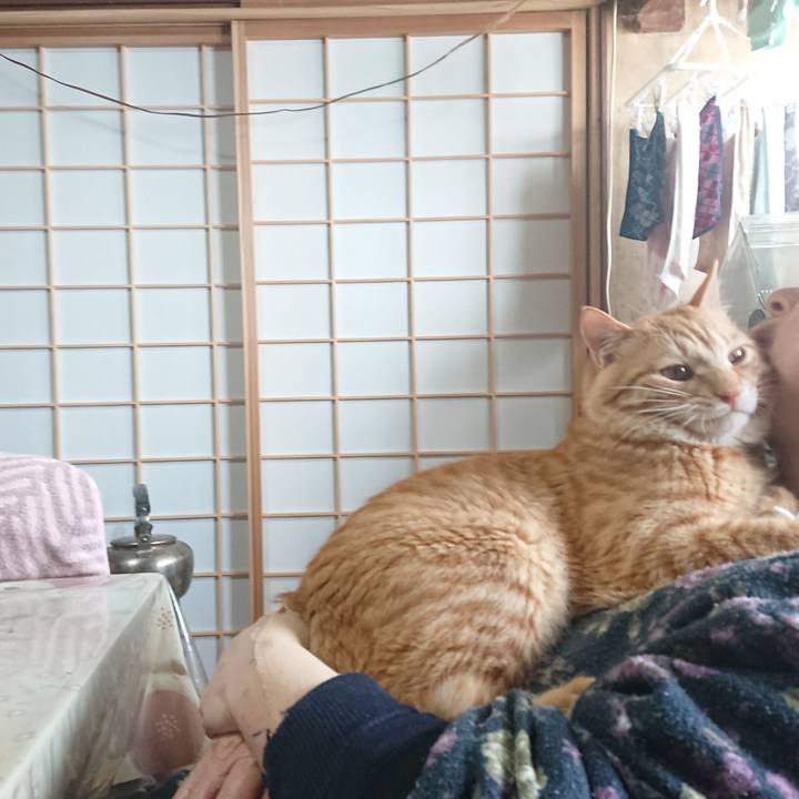 9c03907b 2d20 4027 bf8b 3935e65e0502 1646629218000