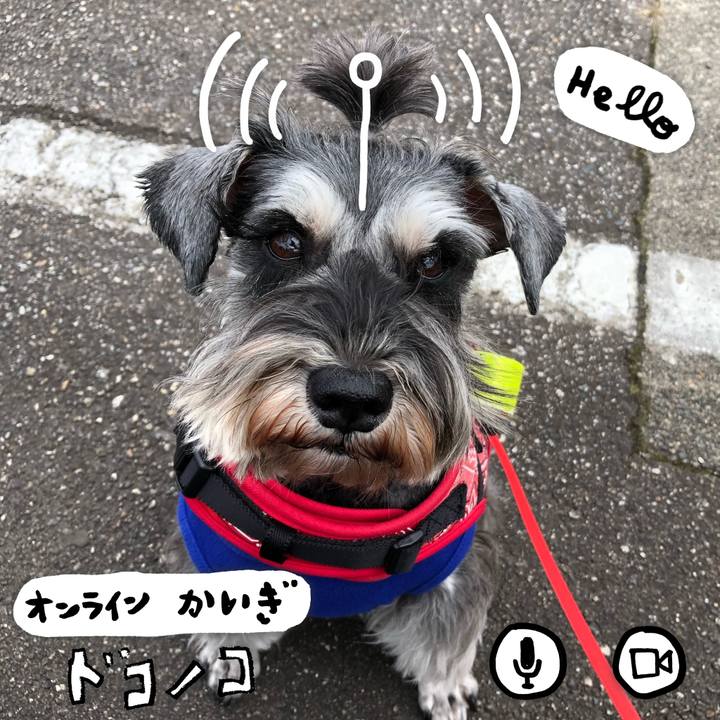 9c03b157 56ab 4d05 98cc f402fc2a26f0 1590724365236