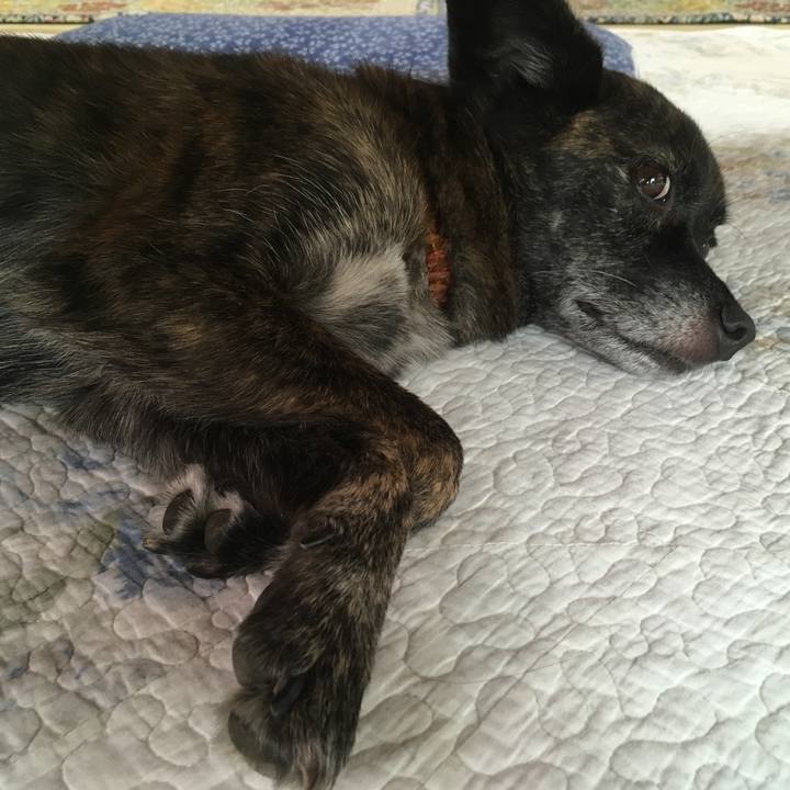 9c03c603 eb4c 453e ade0 323b03d455d7 1538390979312