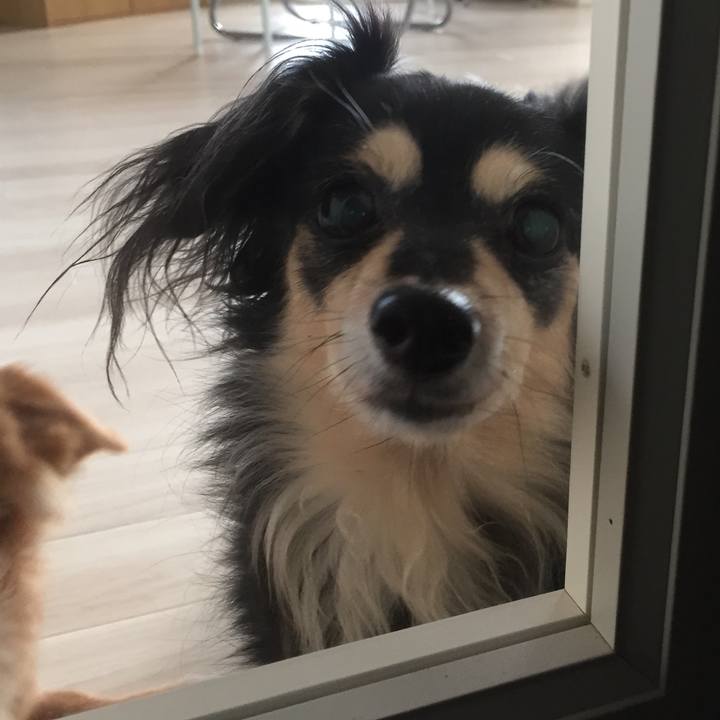 9c03d29e 29be 45b2 b4a5 f2ae8cda7393 1510529352645