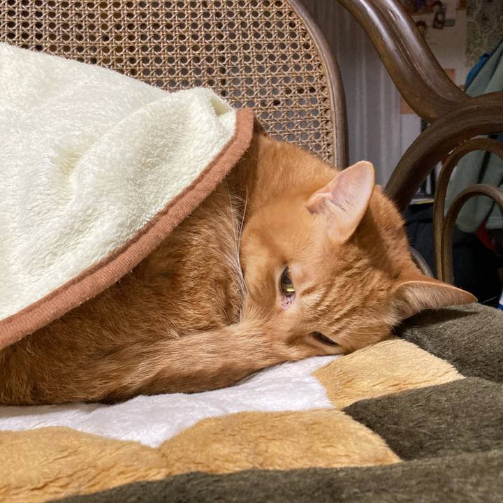 9c03df83 3197 423c 8f9e b1b0fa7fe80e 1770217069475