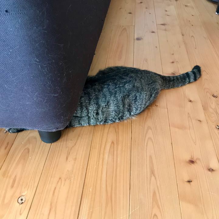 9c03ff86 5731 41eb 9d05 ef11175ea493 1566625669914