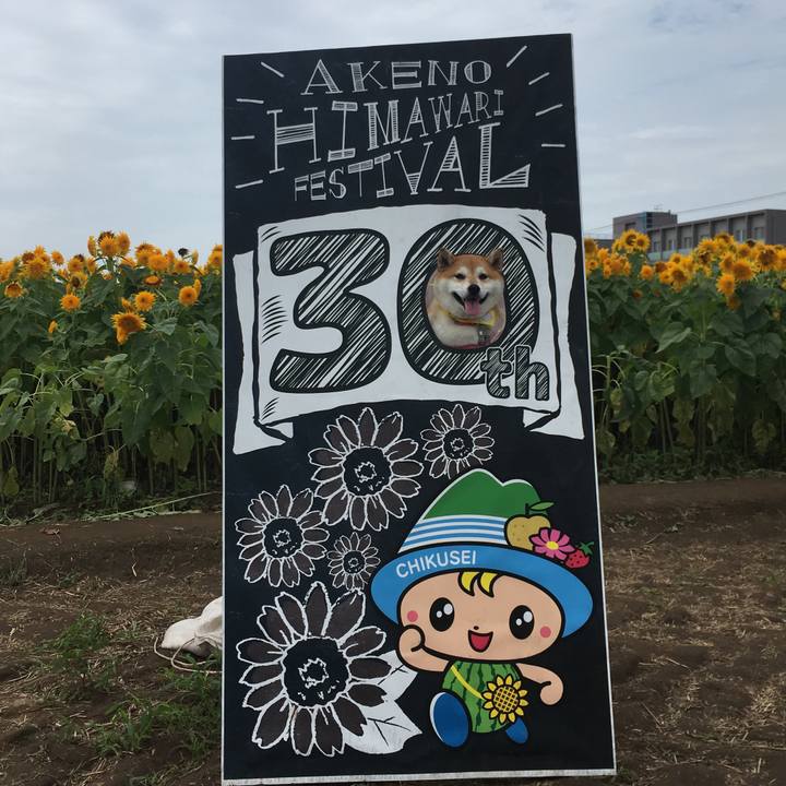 9c04157e 0c46 48d9 a3da 2f7e91b4c046 1567306754308