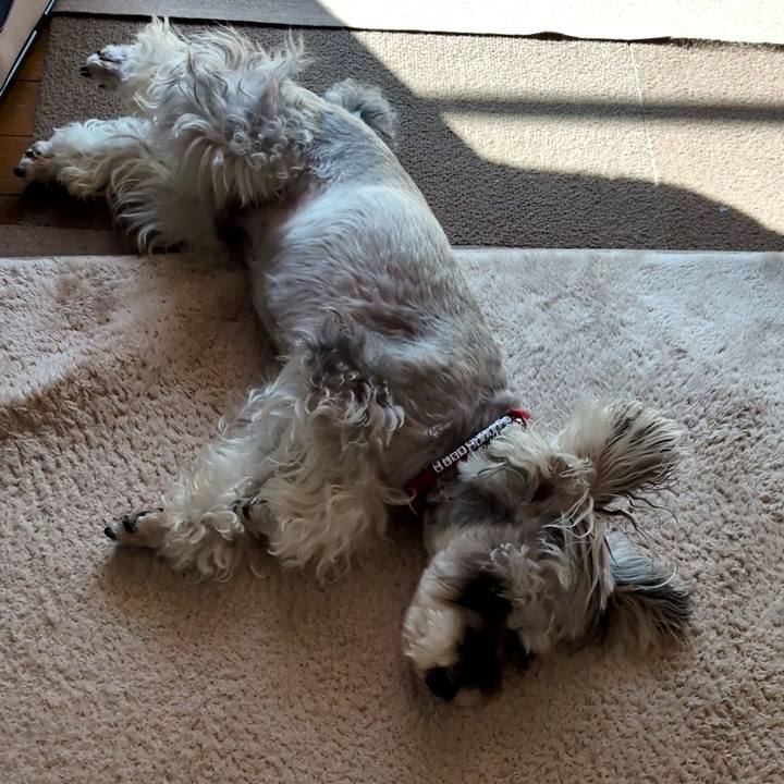 9c044382 e763 4868 ab2b 181bf03c1a72 1758091953370