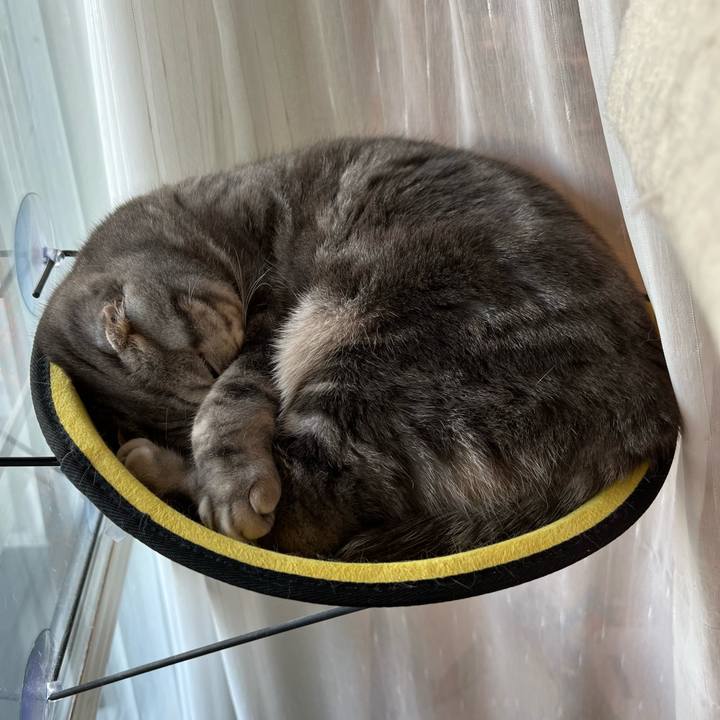 9c04f1ee f6bc 4bd2 a856 ade33a64caf2 1654608511890