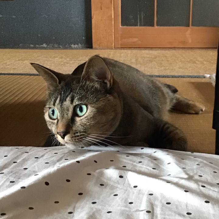 9c051583 58a3 4abd ad6f 71382d4c53b7 1627889100286