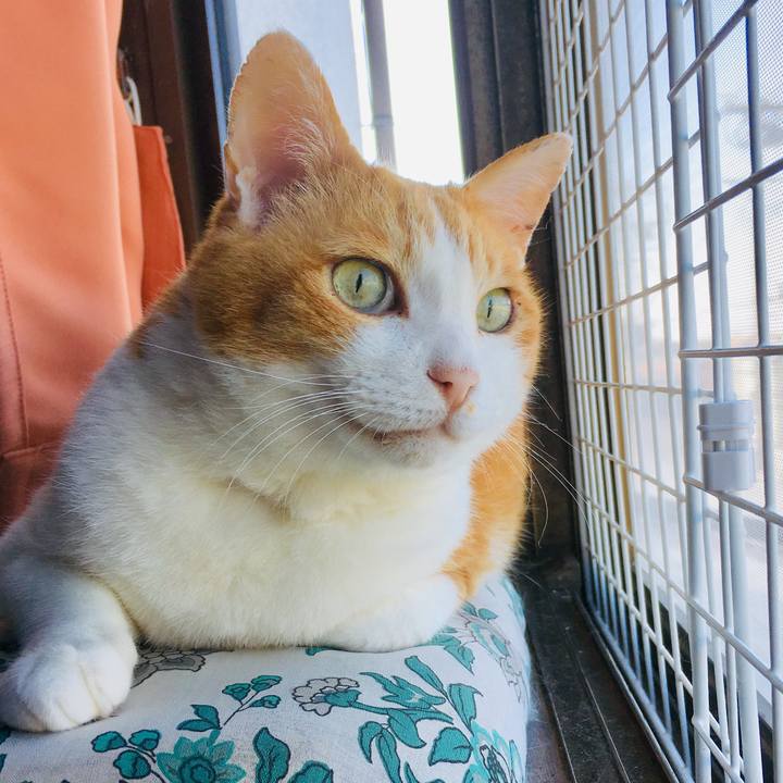 9c051eb9 10dc 4bb2 8dd6 91e755581dc9 1561517684987