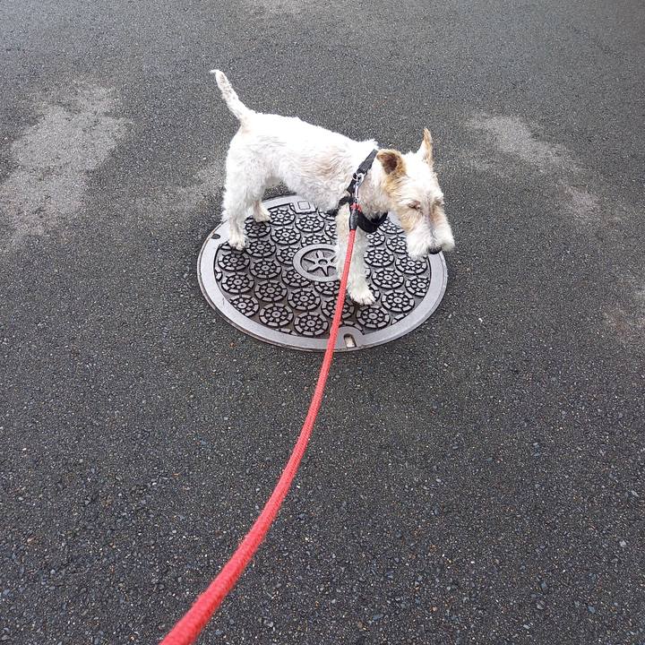 9c056160 120f 4fc5 b154 c769ed5048a1 1626402177335