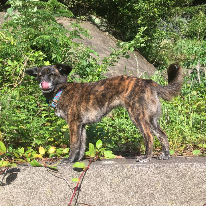 9c056b68 3dae 4d1a 9cf2 73ccf345e23e 1559032796460