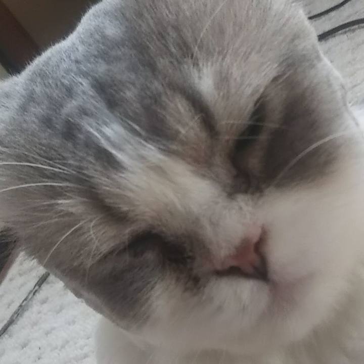 9c059e81 2a77 4a06 9964 55b2cf35d864 1629356593159