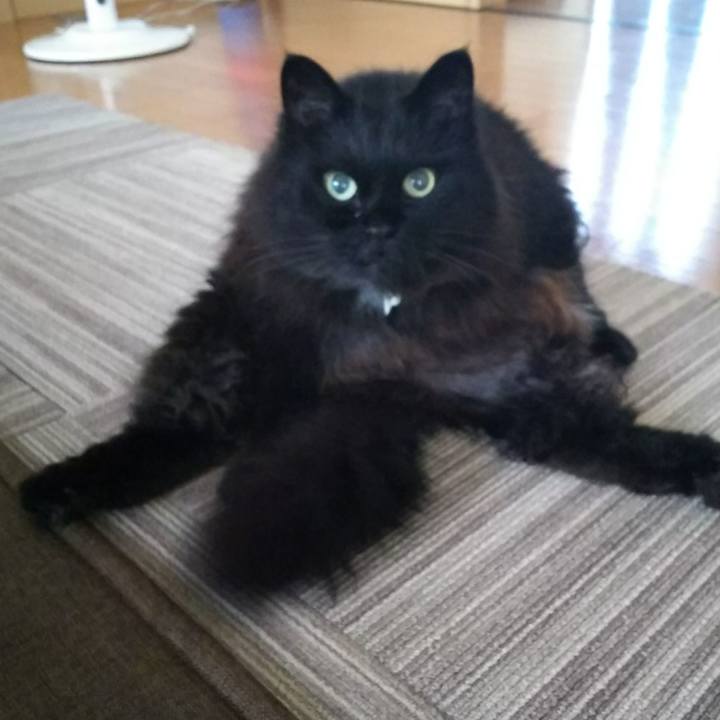 9c05ba0d b916 4a54 8d12 f4f92ff990bc 1531711355580