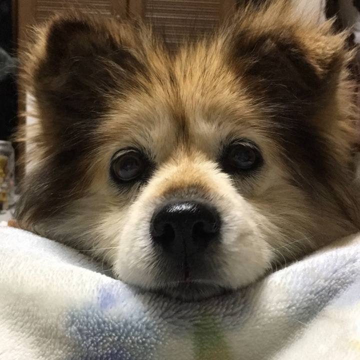 9c05c495 c2f5 4d2a a694 0a5fb30b09ef 1635687999291