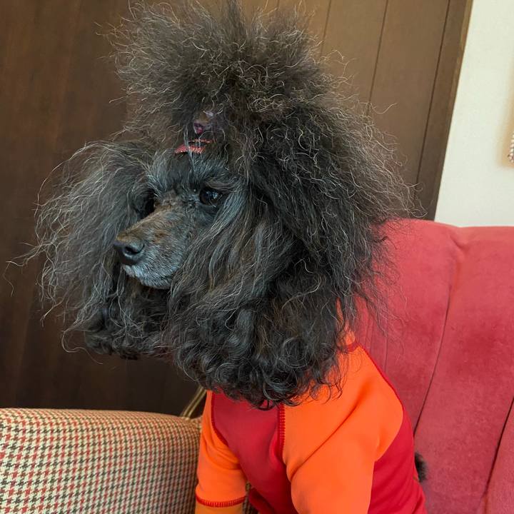 9c05c818 d9f3 45ab be19 723191c544a4 1666490824938