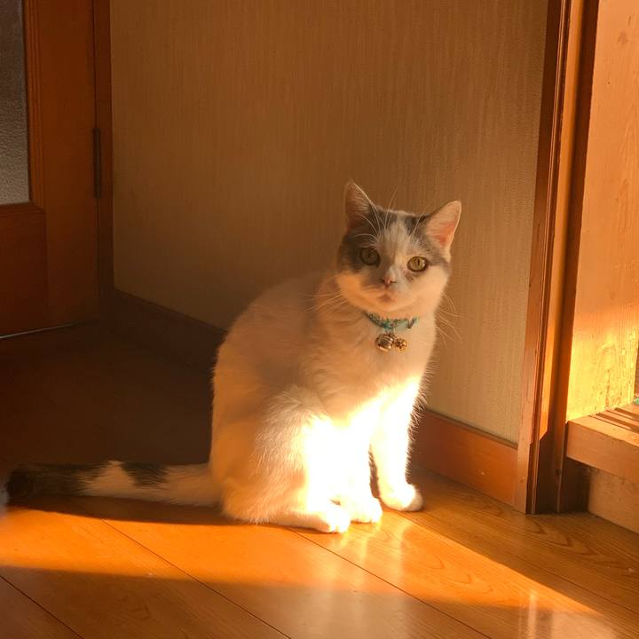 9c060eb8 5594 4b4d a6e0 0c13ff70144d 1636680149429