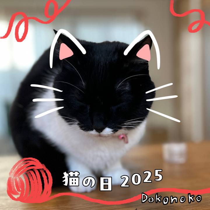 9c064b2e dea7 44e4 b4cb 61b015e57028 1740196352129