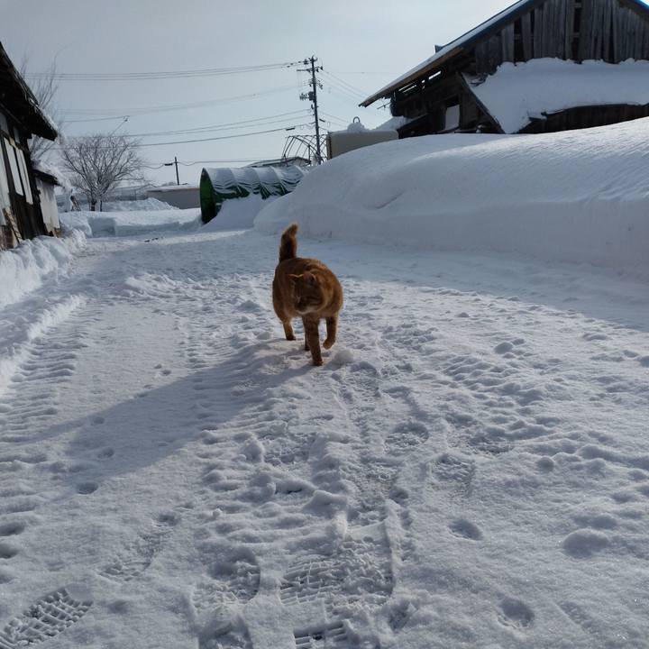 9c06788a 6b0b 4b69 a1e4 35d8efe4b6c7 1675210289504