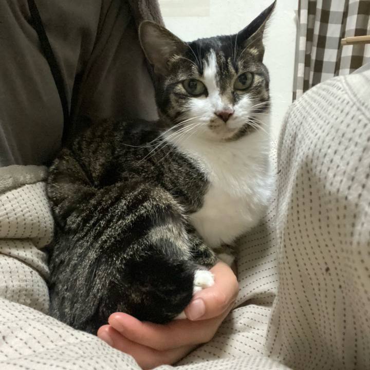 9c067d29 acb3 4cc0 a0ea ccf604202581 1670935111195