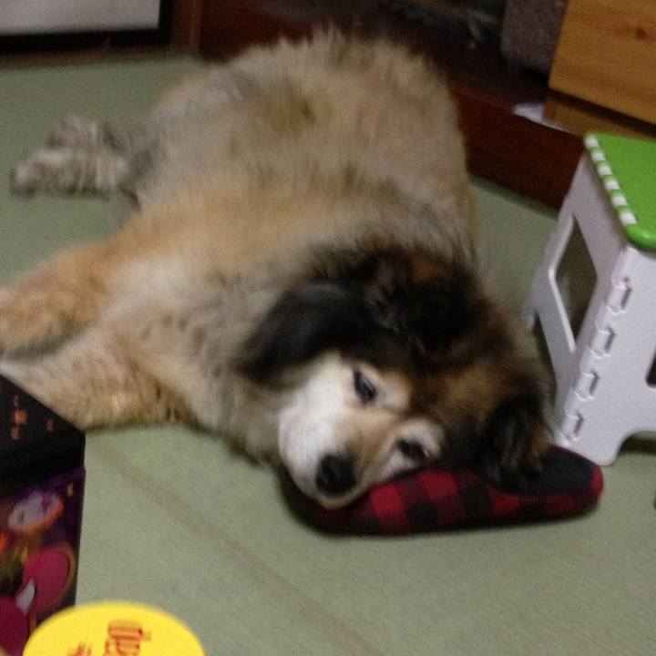 9c06954b b70b 42f3 b365 fc7bb063a1cf 1658766806668