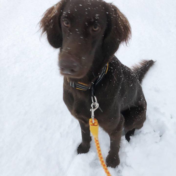 9c06e0ed 0af9 4986 a03c 76df5612a43d 1577835019001