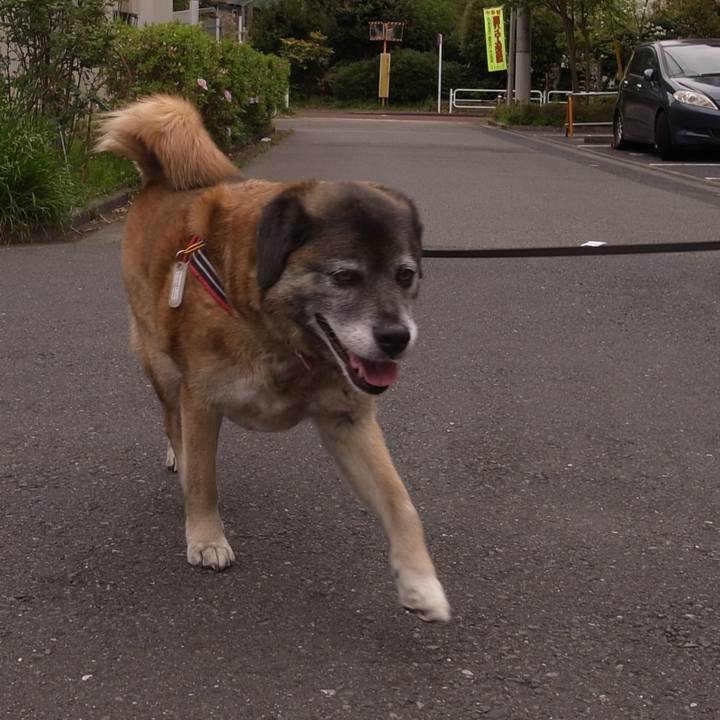 9c06e987 3276 489e 8b92 5bdb576369e9 1604016168227