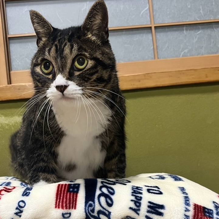 9c06ea2f 1dc9 4709 a084 e2d55e792fe1 1761354690037