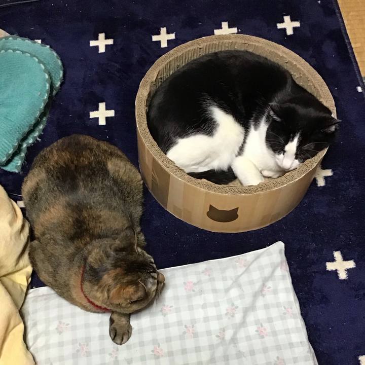 9c06f18b 2a0f 40f0 8379 479589ed1f90 1738475537386