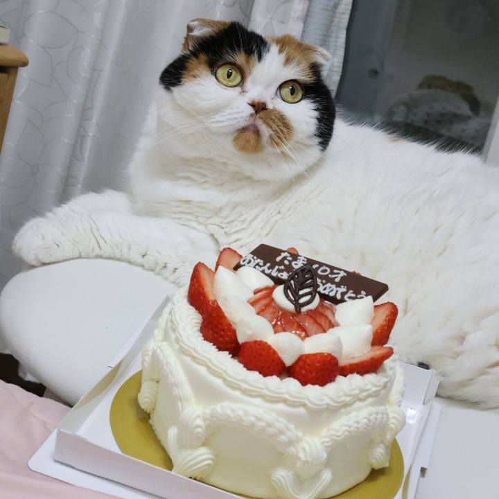 9c071542 d3ea 4be4 b80e f5346a6f29d6 1697887857650