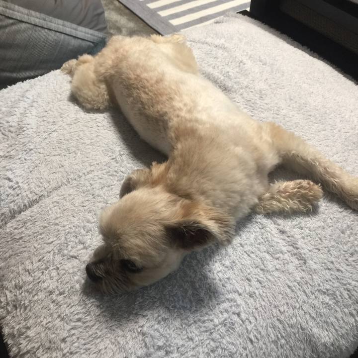 9c072e4e 4ab7 4de8 af3b 5cc37abb7bad 1528894153934