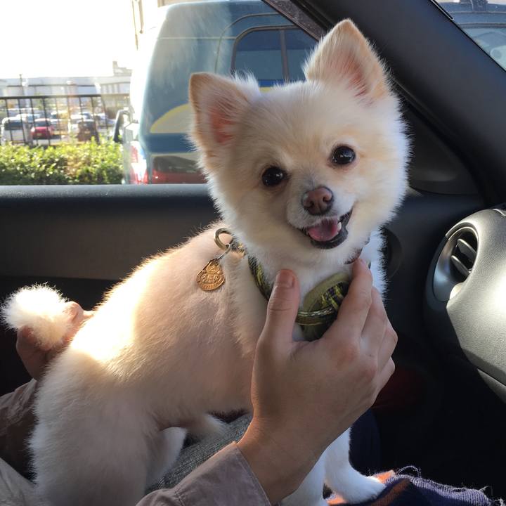 9c073356 52fe 4782 afc4 ef8621d627a6 1541934222153