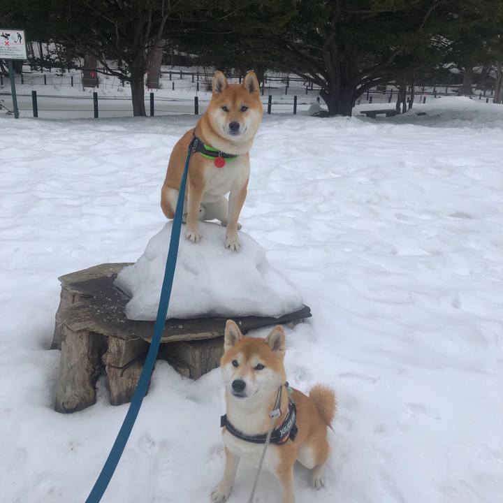 9c073554 9052 4524 9ecb 244e30804acd 1551662451834