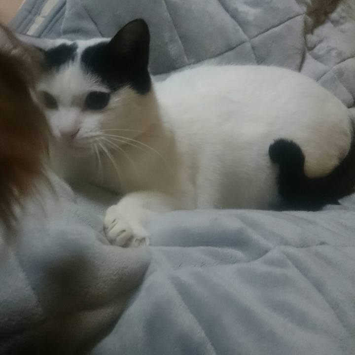 9c07906e 5074 4a40 b3ab 871f11404cd0 1522063845584