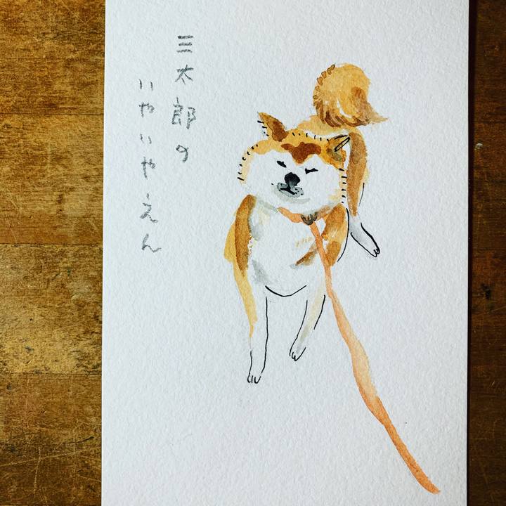 9c07b3d5 c4f8 4d5e 8187 c3250b701bda 1582714476320