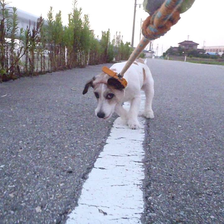 9c07ebb5 6f7e 4740 81eb 33430df8d15e 1531880959080