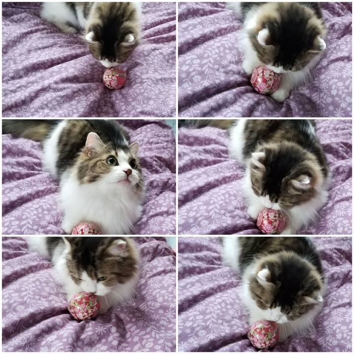 9c080c52 7a20 4790 b558 1210af9819ca 1570487708460