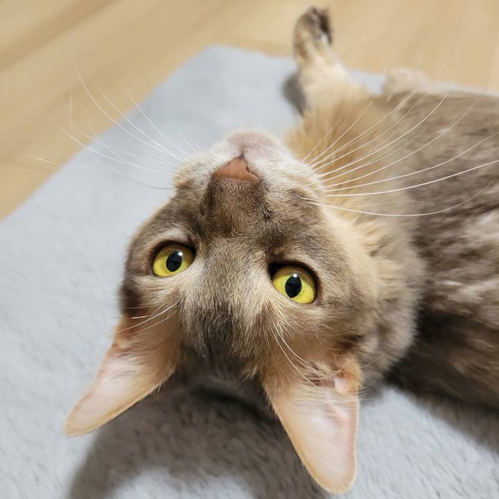 9c081036 d2c0 4721 ab87 41f88d4669c1 1683779512673