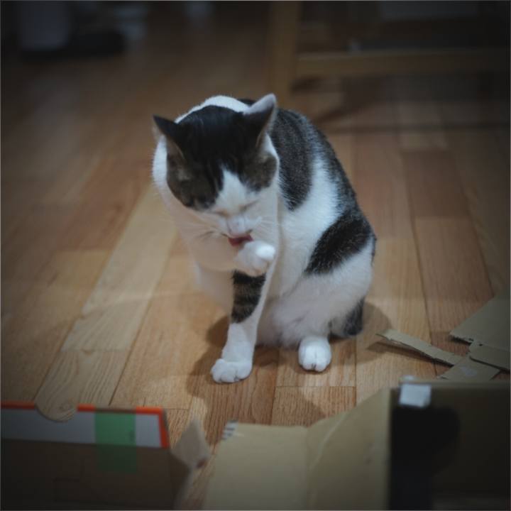 9c081608 966e 4d52 8ba4 29ff5ea62e94 1529934766340