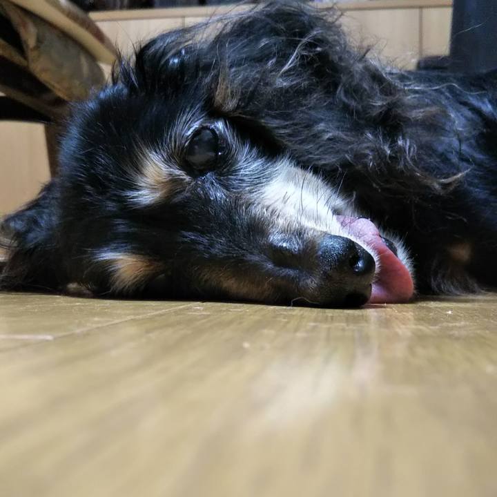 9c081f9e 420d 44c7 bc33 d46bc4463977 1634798927837