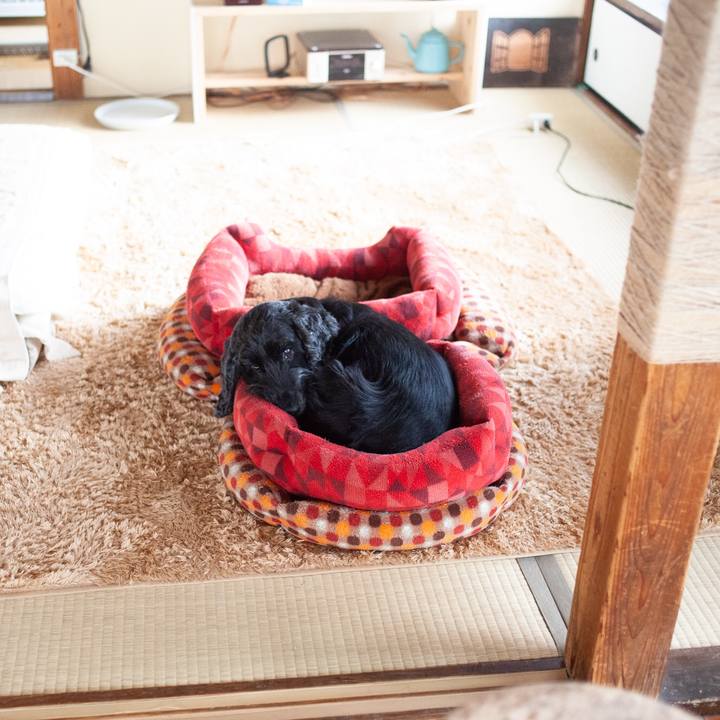 9c0823d4 0f51 429a 80ac 773596563511 1579880397382