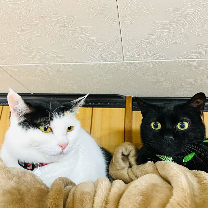 9c08298e 14b9 4c6a be7a bc0121e4e888 1671228303967