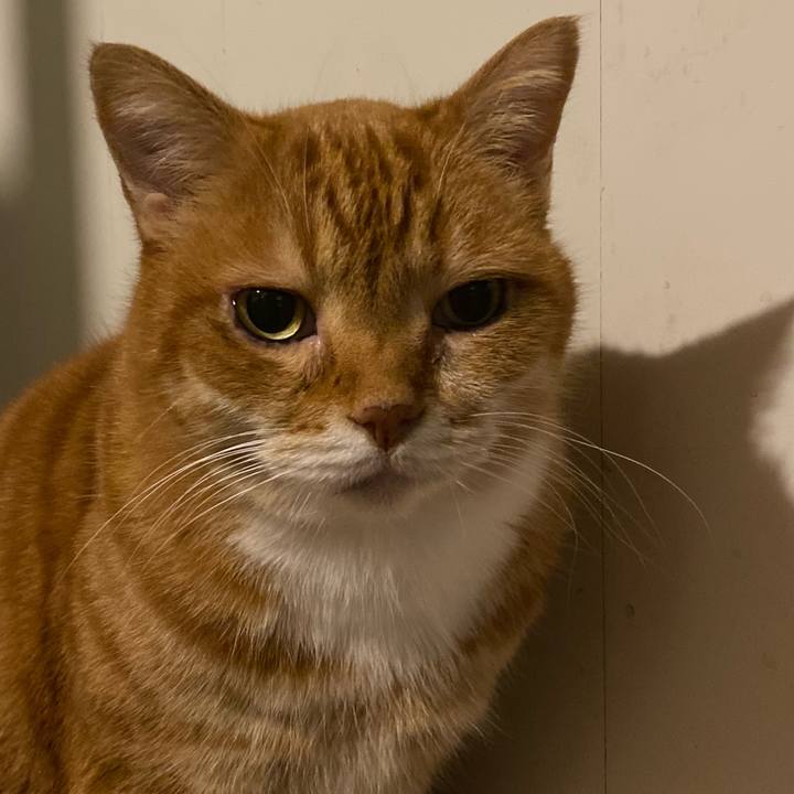 9c082aad b952 4c16 ba40 88b0a8f210c5 1670160170838